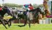 中山グランドジャンプ悪徳競馬予想情報