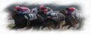 高松宮記念悪徳競馬予想情報